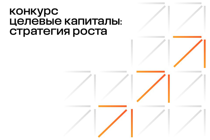Фонд Владимира Потанина запустил конкурс для НКО «Целевые капиталы: стратегия роста»