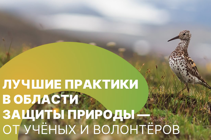 Открыта регистрация на обучение «Заповедные коммуникации» для сотрудников ООПТ