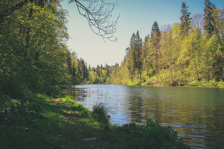 Шесть экопроектов для Ленобласти прошли I этап конкурса Президентского фонда природы